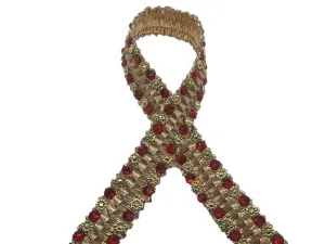 Deep Golden Red Fancy Stone Work Embroidered Border