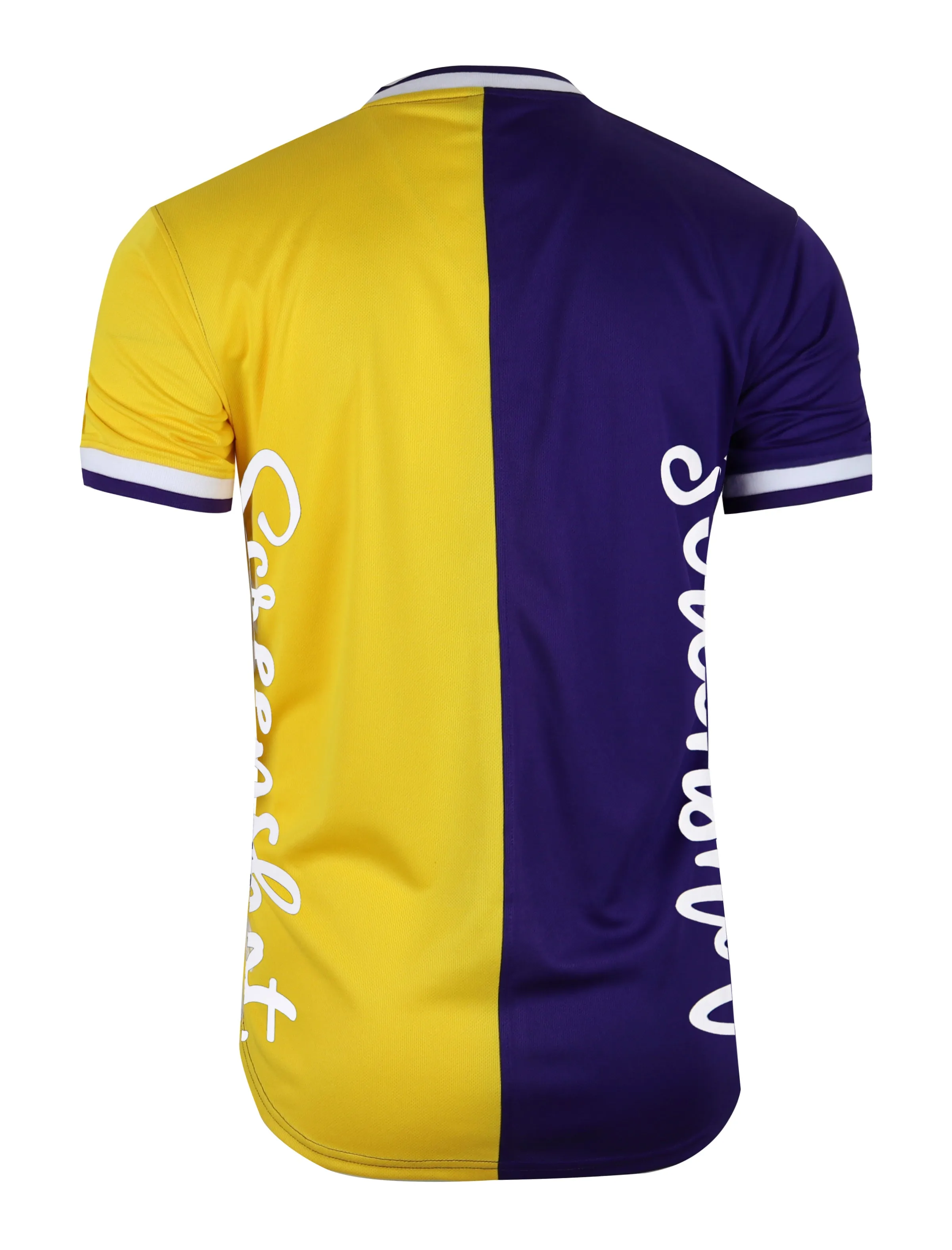 SHORT SLEEVE COLOR BLOCK MESH JERSEY - TS1113 (PURPLE)