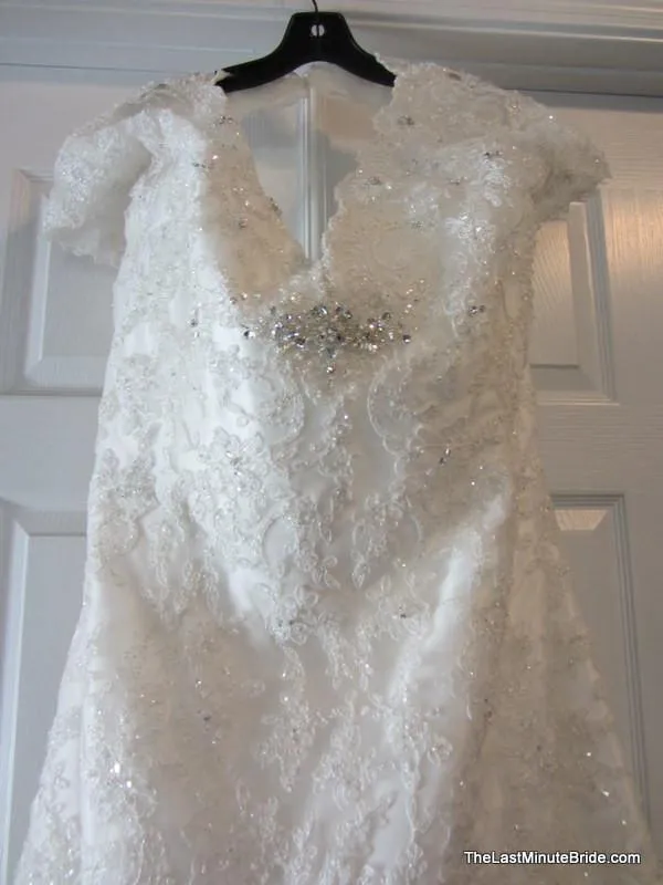 Sophia Tolli Selyse Y11413