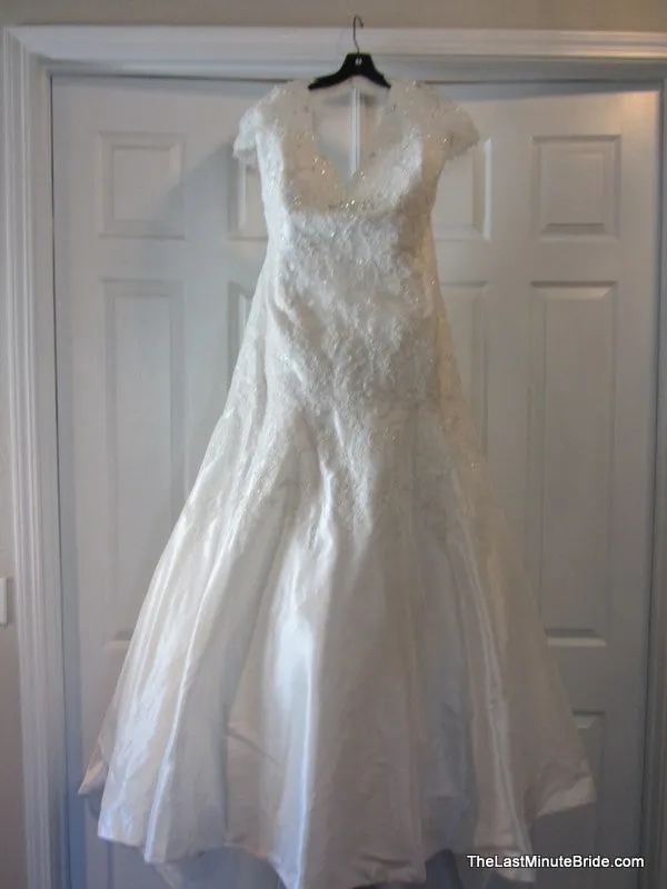 Sophia Tolli Selyse Y11413