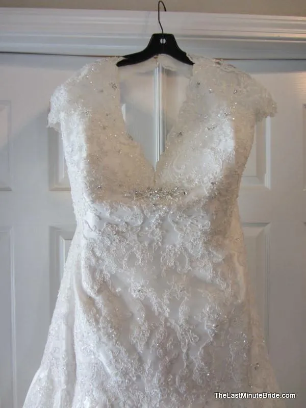 Sophia Tolli Selyse Y11413