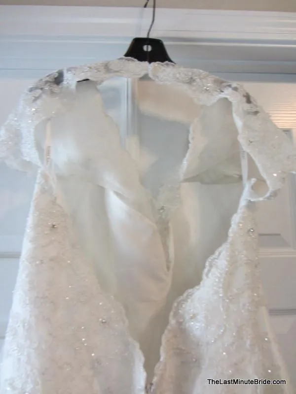 Sophia Tolli Selyse Y11413