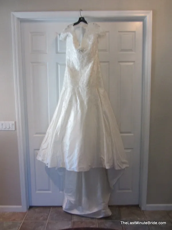 Sophia Tolli Selyse Y11413