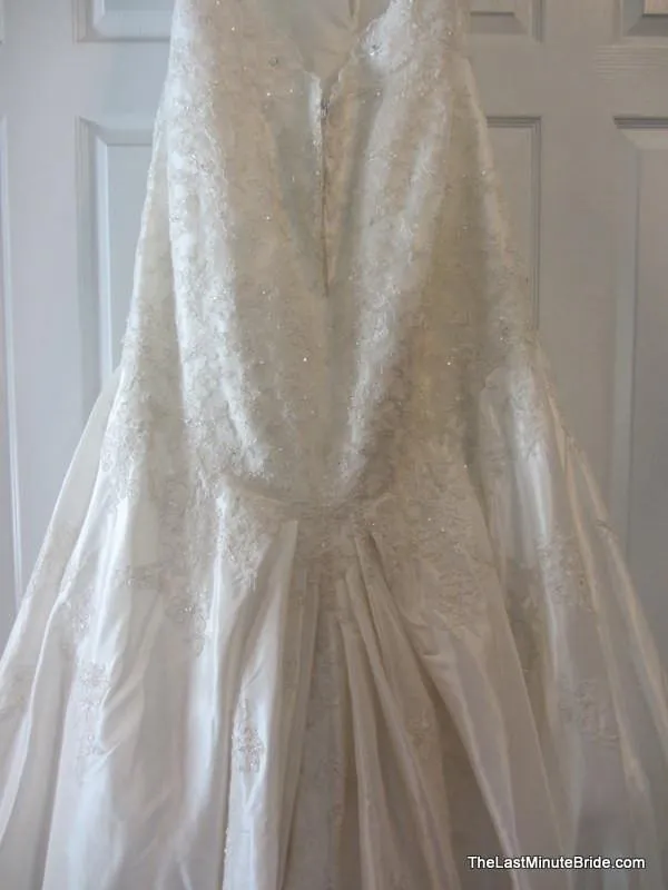 Sophia Tolli Selyse Y11413