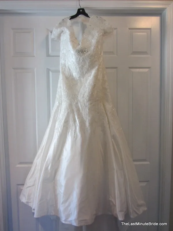 Sophia Tolli Selyse Y11413