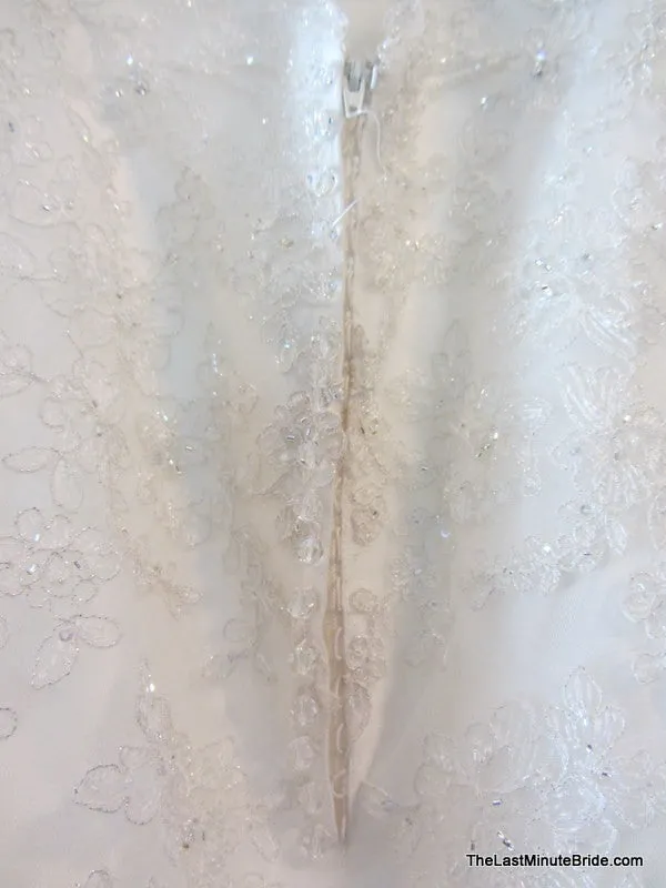 Sophia Tolli Selyse Y11413