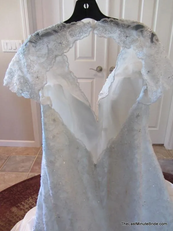 Sophia Tolli Selyse Y11413