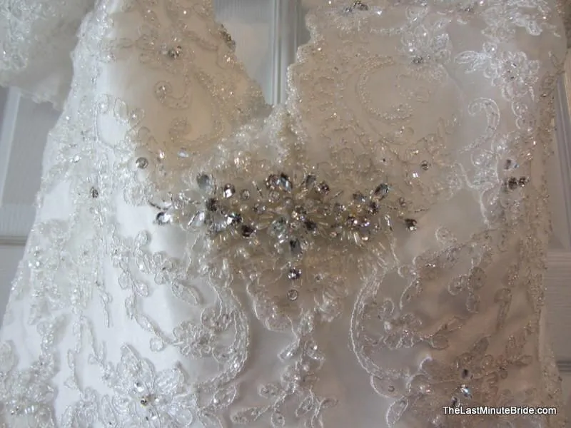 Sophia Tolli Selyse Y11413